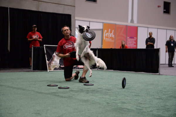 Veterinary Convention exhibit hall dog leaping to catch a frisbee
